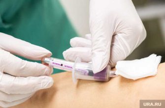 база данных