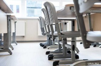 Правительство