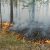 Синоптик назвал регионы РФ, которым грозят новые лесные пожары