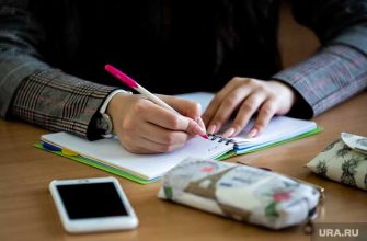 образование