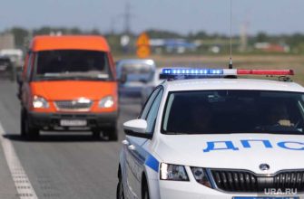 Волчиха пожар