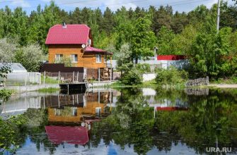 Эдуард Богданов